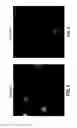 Fig. 10 - Fluoro-alcohol additives for orientation control of block copolymers