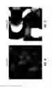Fig. 11 - Fluoro-alcohol additives for orientation control of block copolymers