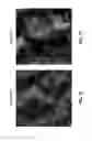 Fig. 12 - Fluoro-alcohol additives for orientation control of block copolymers