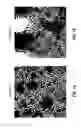 Fig. 13 - Fluoro-alcohol additives for orientation control of block copolymers