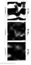 Fig. 16 - Fluoro-alcohol additives for orientation control of block copolymers