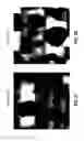 Fig. 18 - Fluoro-alcohol additives for orientation control of block copolymers