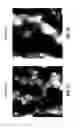 Fig. 23 - Fluoro-alcohol additives for orientation control of block copolymers