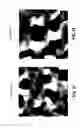 Fig. 28 - Fluoro-alcohol additives for orientation control of block copolymers