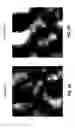 Fig. 29 - Fluoro-alcohol additives for orientation control of block copolymers