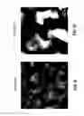 Fig. 30 - Fluoro-alcohol additives for orientation control of block copolymers