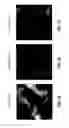 Fig. 32 - Fluoro-alcohol additives for orientation control of block copolymers