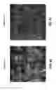 Fig. 34 - Fluoro-alcohol additives for orientation control of block copolymers