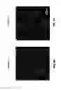 Fig. 43 - Fluoro-alcohol additives for orientation control of block copolymers