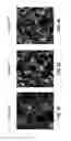 Fig. 44 - Fluoro-alcohol additives for orientation control of block copolymers