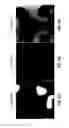 Fig. 54 - Fluoro-alcohol additives for orientation control of block copolymers
