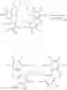 Fig. 34 - Polymerization process for producing ethylene based polymers