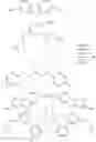 Fig. 53 - Polymerization process for producing ethylene based polymers
