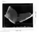 Fig. 02 - Graphene composition and graphene molded article