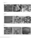 Fig. 03 - Ink composition for powder bed and inkjet head 3D printing