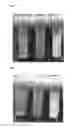 Fig. 04 - Ink composition for powder bed and inkjet head 3D printing