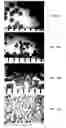 Fig. 13 - PROPPANT BEAD FORMING METHODS