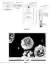 Fig. 47 - PROPPANT BEAD FORMING METHODS