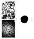 Fig. 53 - PROPPANT BEAD FORMING METHODS