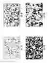 Fig. 02 - Lubricant compositions