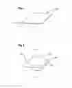 Fig. 02 - FILMS AND UNIT DOSE ARTICLES COMPRISING AVERSIVE AGENTS, AND USES AND METHODS RELATED THERETO