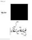 Fig. 05 - HYALURONIC ACID DERIVATIVES AND COMPOSITION FOR CELL-SURFACE ENGINEERING USING THE SAME