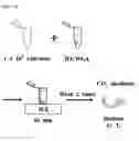 Fig. 13 - HYALURONIC ACID DERIVATIVES AND COMPOSITION FOR CELL-SURFACE ENGINEERING USING THE SAME