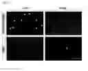 Fig. 35 - HYALURONIC ACID DERIVATIVES AND COMPOSITION FOR CELL-SURFACE ENGINEERING USING THE SAME