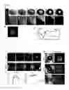 Fig. 02 - METHOD FOR GENERATING CELL CONDENSATE FOR SELF-ORGANIZATION