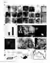 Fig. 05 - METHOD FOR GENERATING CELL CONDENSATE FOR SELF-ORGANIZATION