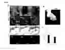 Fig. 10 - METHOD FOR GENERATING CELL CONDENSATE FOR SELF-ORGANIZATION