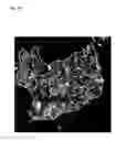 Fig. 11 - METHOD FOR GENERATING CELL CONDENSATE FOR SELF-ORGANIZATION