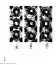 Fig. 15 - METHOD FOR GENERATING CELL CONDENSATE FOR SELF-ORGANIZATION