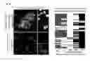 Fig. 17 - METHOD FOR GENERATING CELL CONDENSATE FOR SELF-ORGANIZATION
