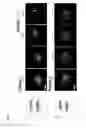 Fig. 22 - METHOD FOR GENERATING CELL CONDENSATE FOR SELF-ORGANIZATION
