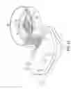 Fig. 05 - ELECTROPHYSIOLOGICAL RECORDING SYSTEM AND METHODS OF USING SAME