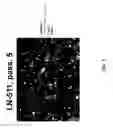 Fig. 08 - Maintenance of differentiated cells with laminins