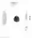 Fig. 14 - Maintenance of differentiated cells with laminins