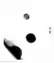 Fig. 17 - Maintenance of differentiated cells with laminins