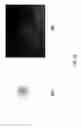 Fig. 18 - Maintenance of differentiated cells with laminins