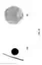 Fig. 19 - Maintenance of differentiated cells with laminins