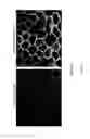 Fig. 12 - MACS-based purification of stem cell-derived retinal pigment epithelium