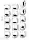 Fig. 13 - CD82-positive cardiac progenitor cells