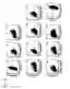 Fig. 14 - CD82-positive cardiac progenitor cells