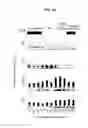 Fig. 05 - Methods of differentiating stem cells by modulating miR-124