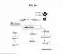 Fig. 08 - Methods of differentiating stem cells by modulating miR-124