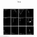 Fig. 25 - Methods of differentiating stem cells by modulating miR-124