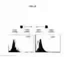 Fig. 32 - Methods of differentiating stem cells by modulating miR-124