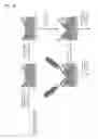 Fig. 13 - Phage wrapping