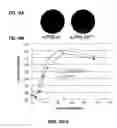Fig. 17 - Methods of making modified viral genomes